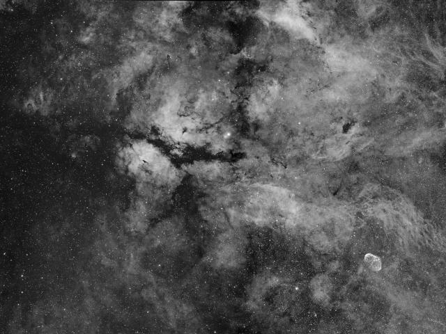 Central Cygnus Skyscape