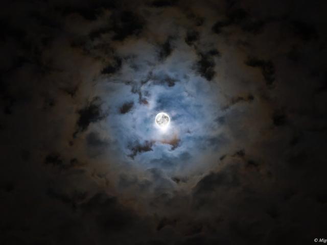 Halloween s Moon