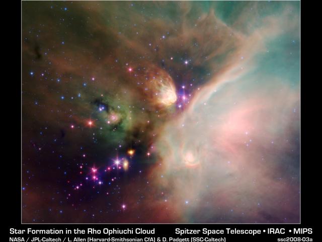 Young Stars in the Rho Ophiuchi Cloud