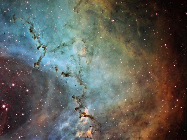 Dust Sculptures in the Rosette Nebula