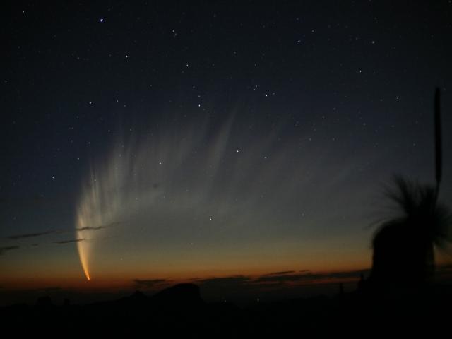 The Magnificent Tail of Comet McNaught
