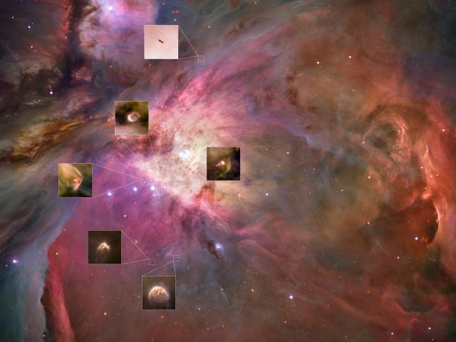 Planetary Systems Now Forming in Orion