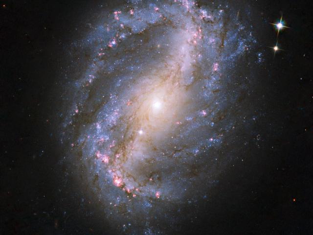 Barred Spiral Galaxy NGC 6217