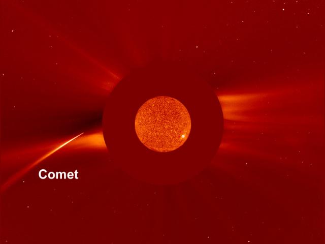 New Year Sun Grazer