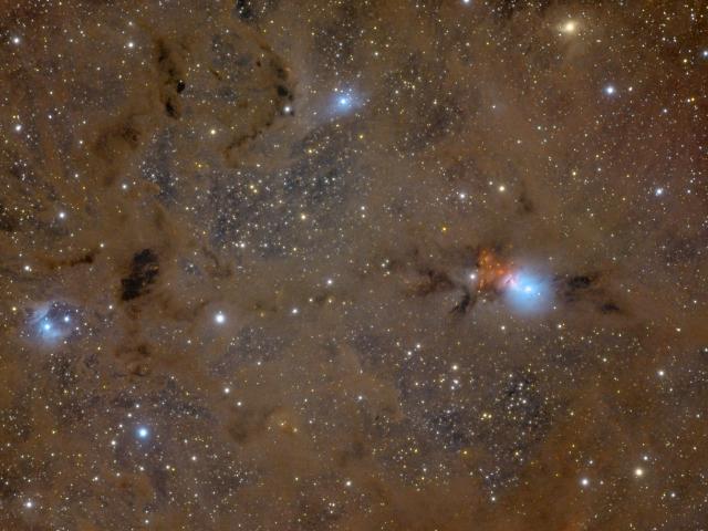 Stardust in Perseus