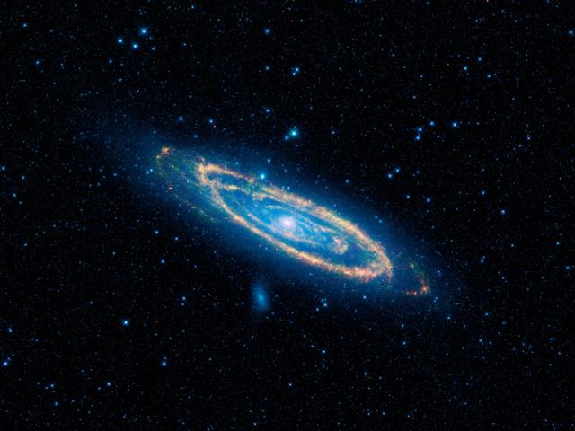 WISE Infrared Andromeda