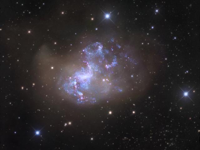 Unusual Starburst Galaxy NGC 1313