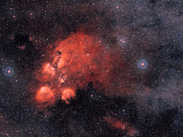Wide Angle: The Cat’s Paw Nebula