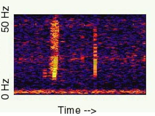 The Bloop: A Mysterious Sound from the Deep Ocean