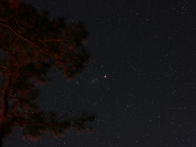 Mars in a Manger