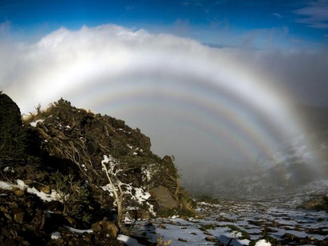 A Hall of Mountain Fogbows
