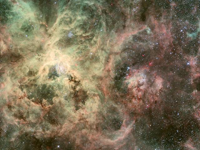 Tentacles of the Tarantula Nebula
