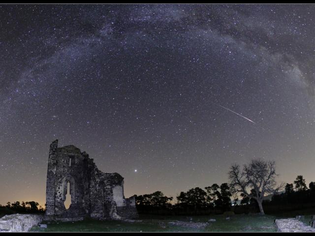 Perseid Prelude