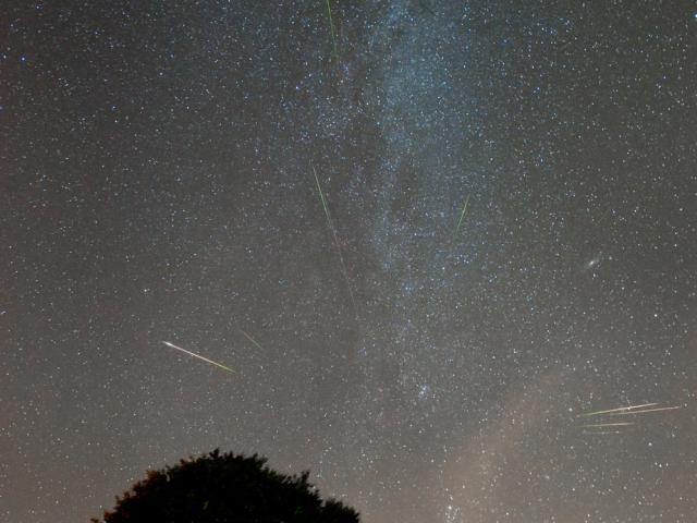 Night of the Perseids