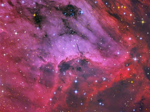 Pelican Nebula Close Up