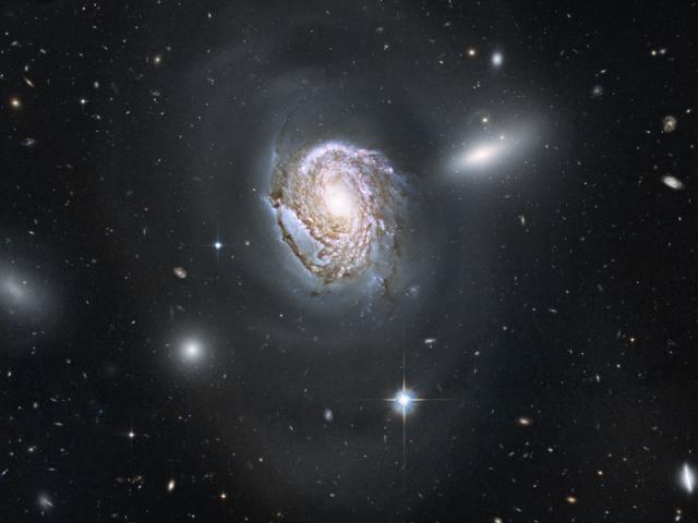 NGC 4911: Spiral Diving into a Dense Cluster
