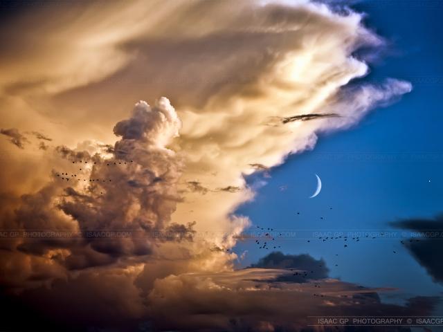 Clouds, Birds, Moon, Venus