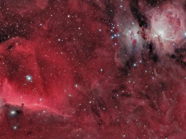 Horsehead and Orion Nebulas
