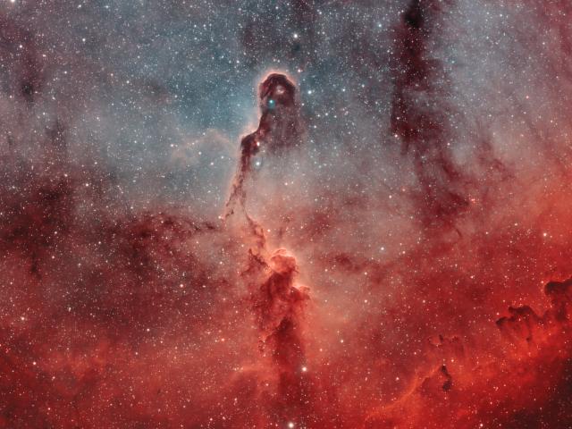 The Elephant’s Trunk in IC 1396