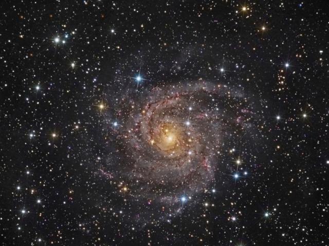 Hidden Galaxy IC 342