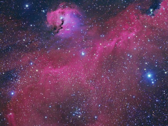 The Seagull Nebula