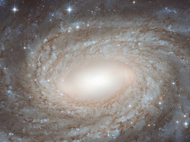 NGC 6384: Spiral Beyond the Stars