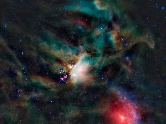 Young Stars in the Rho Ophiuchi Cloud