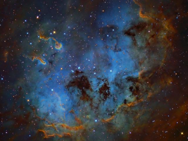 The Tadpoles of IC 410