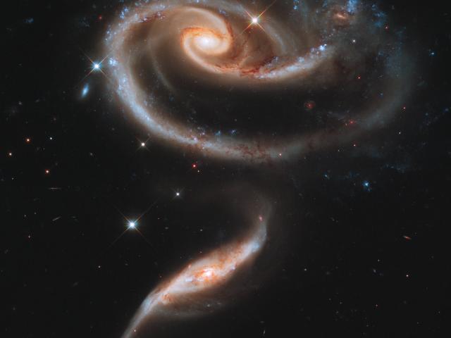 Peculiar Galaxies of Arp 273