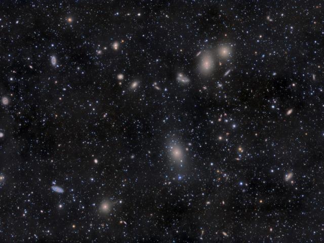 Virgo Cluster Galaxies