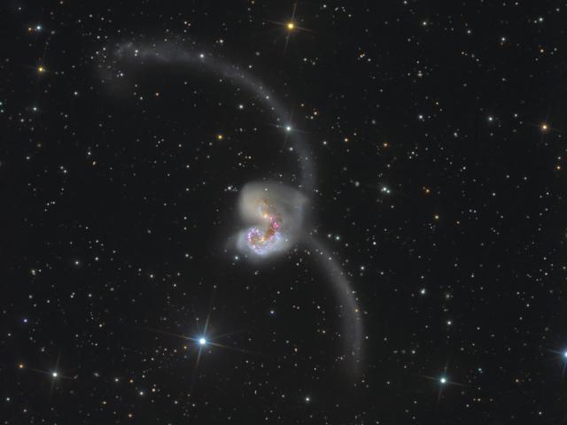 The Antennae
