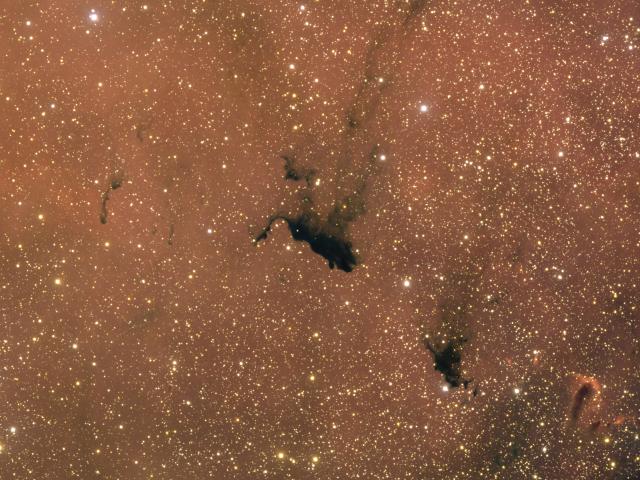 Molecular Cloud Barnard 163