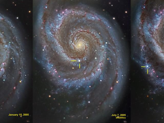 Supernovae in the Whirlpool