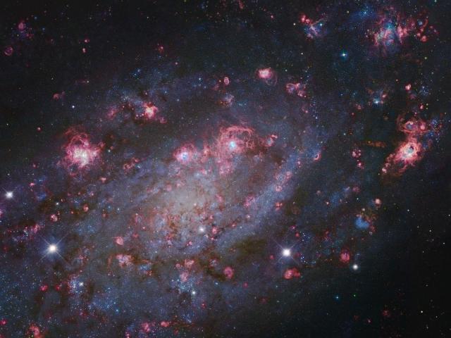 NGC 2403 in Camelopardalis