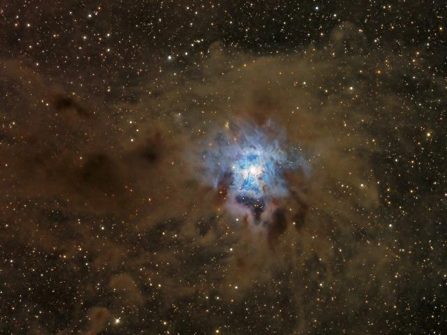 A Dusty Iris Nebula
