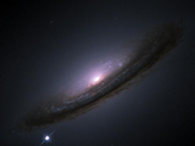 Nobels for a Strange Universe