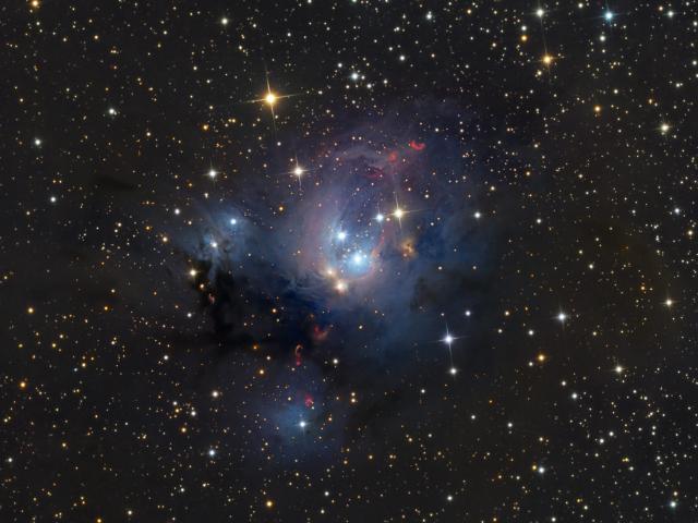 Young Suns of NGC 7129
