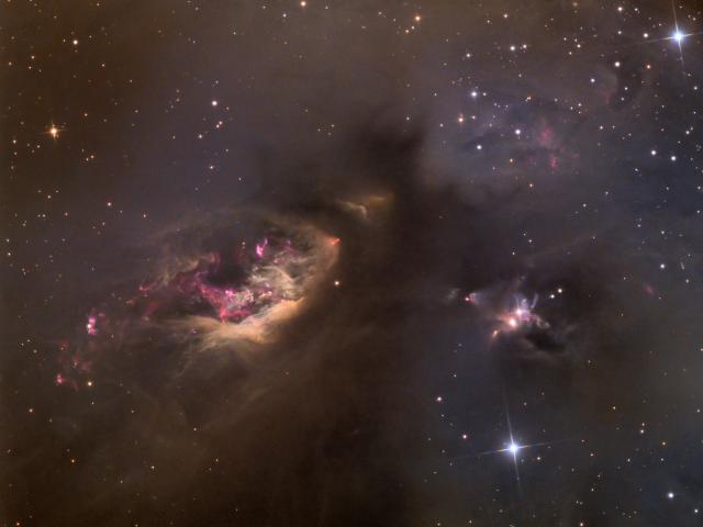 Sh2-239: Celestial Impasto