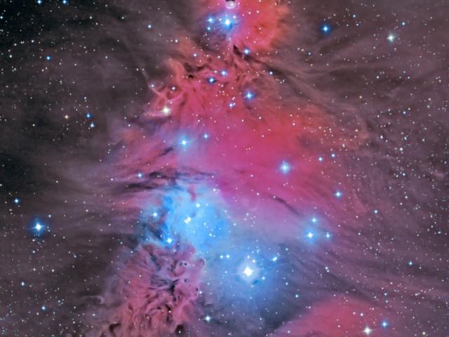 In the Vicinity of the Cone Nebula