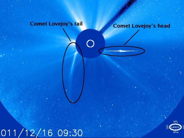 Comet Lovejoy: Sungrazing Survivor