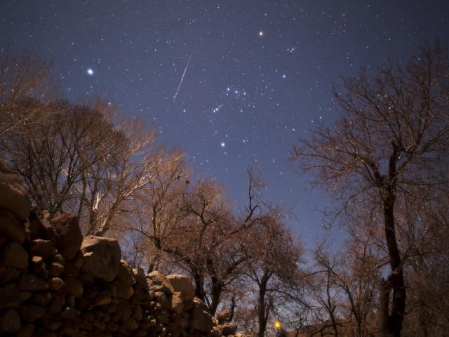 A Geminid Meteor Over Iran