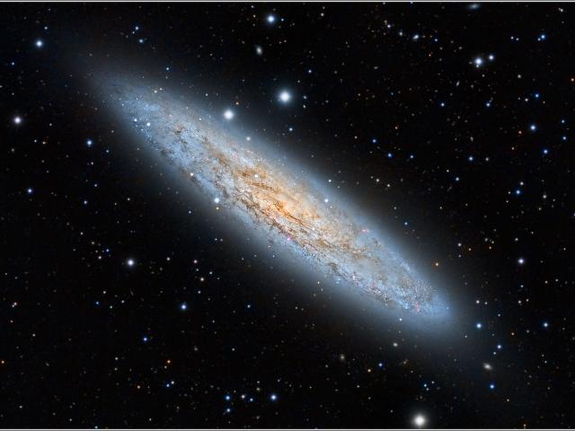 NGC 253: The Sculptor Galaxy