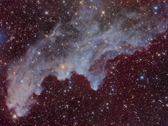 IC 2118: The Witch Head Nebula