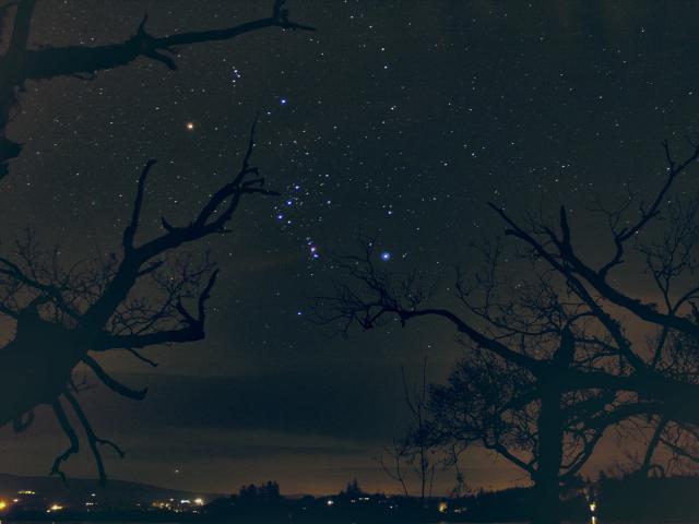 The Hunter’s Stars