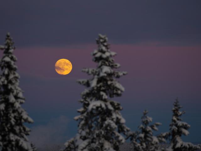The Wolf’s Moon
