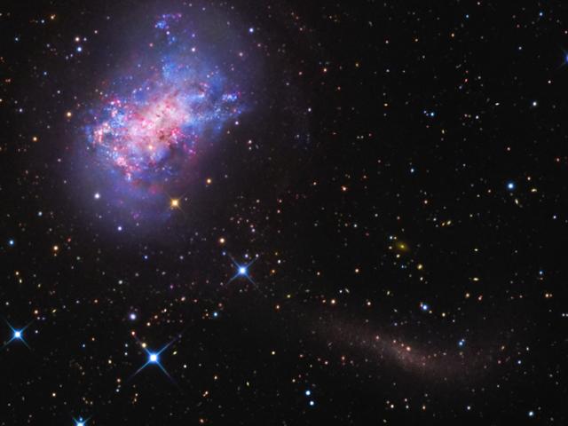 NGC 4449: Star Stream for a Dwarf Galaxy