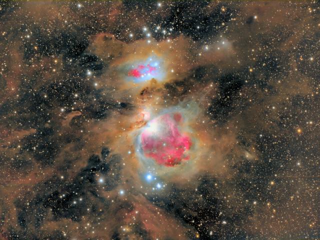 Dust of the Orion Nebula