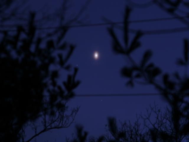 An Unusual Venusian Oval