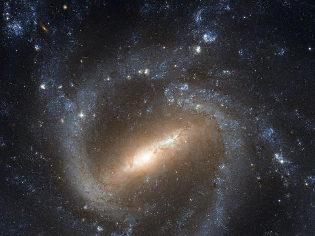 Barred Spiral Galaxy NGC 1073