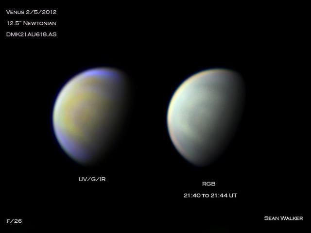 Multicolor Venus